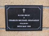 image of grave number 294122
